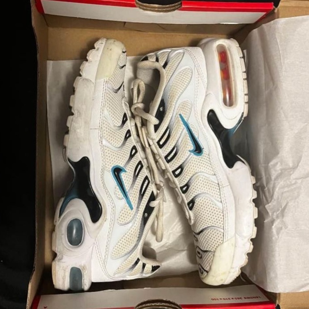 Nike Air Max Plus